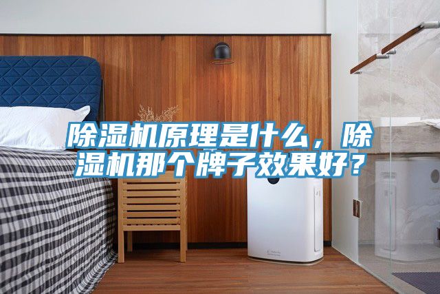 除濕機原理是什么，除濕機那個牌子效果好？
