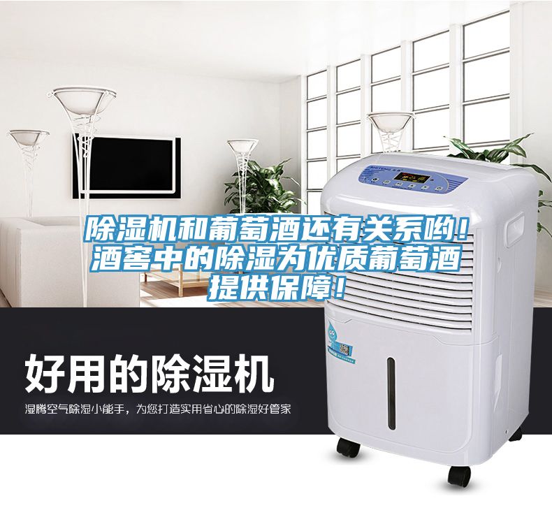 除濕機和葡萄酒還有關系喲！酒窖中的除濕為優(yōu)質(zhì)葡萄酒提供保障！