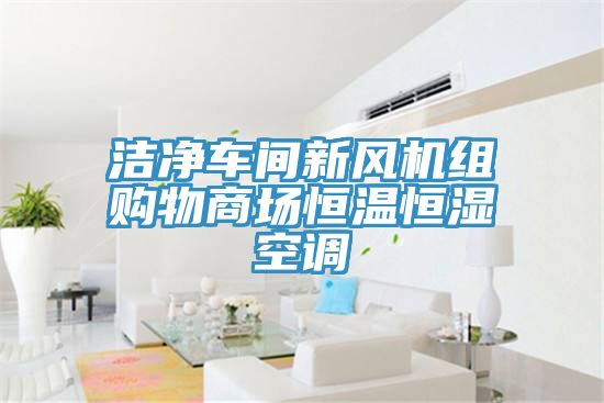 潔凈車間新風機組購物商場恒溫恒濕空調(diào)