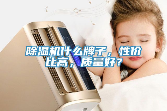 除濕機什么牌子，性價比高，質(zhì)量好？