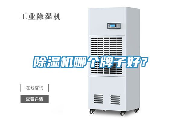 除濕機(jī)哪個(gè)牌子好？