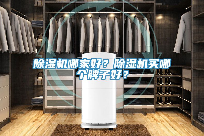 除濕機(jī)哪家好？除濕機(jī)買哪個(gè)牌子好？