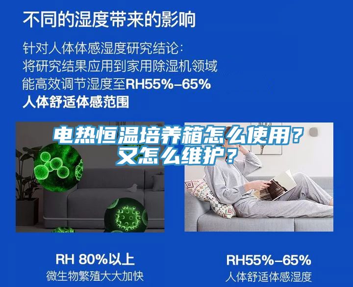 電熱恒溫培養(yǎng)箱怎么使用？又怎么維護(hù)？