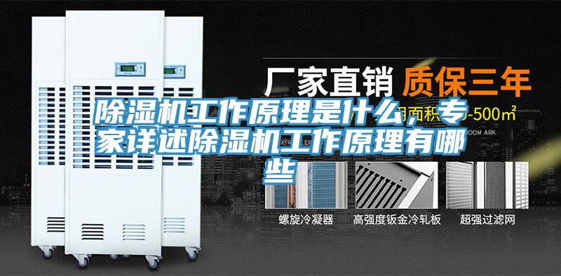 除濕機(jī)工作原理是什么，專家詳述除濕機(jī)工作原理有哪些