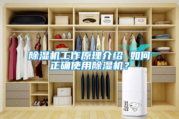 除濕機(jī)工作原理介紹 如何正確使用除濕機(jī)？