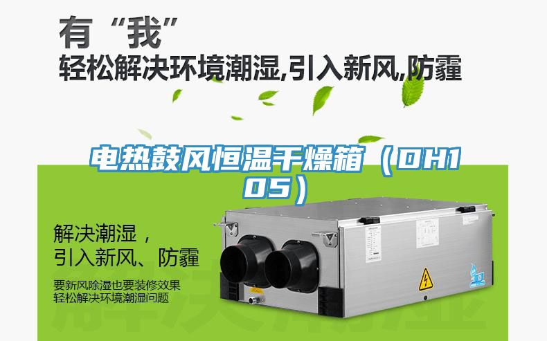 電熱鼓風(fēng)恒溫干燥箱（DH105）